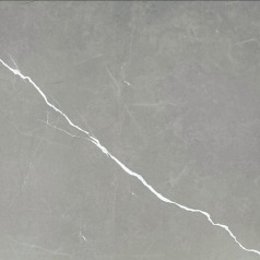 Porcelain Tile Camellia Dark