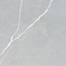 Porcelain Tile Camellia Gris