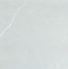 Porcelain Tile Camellia Silver