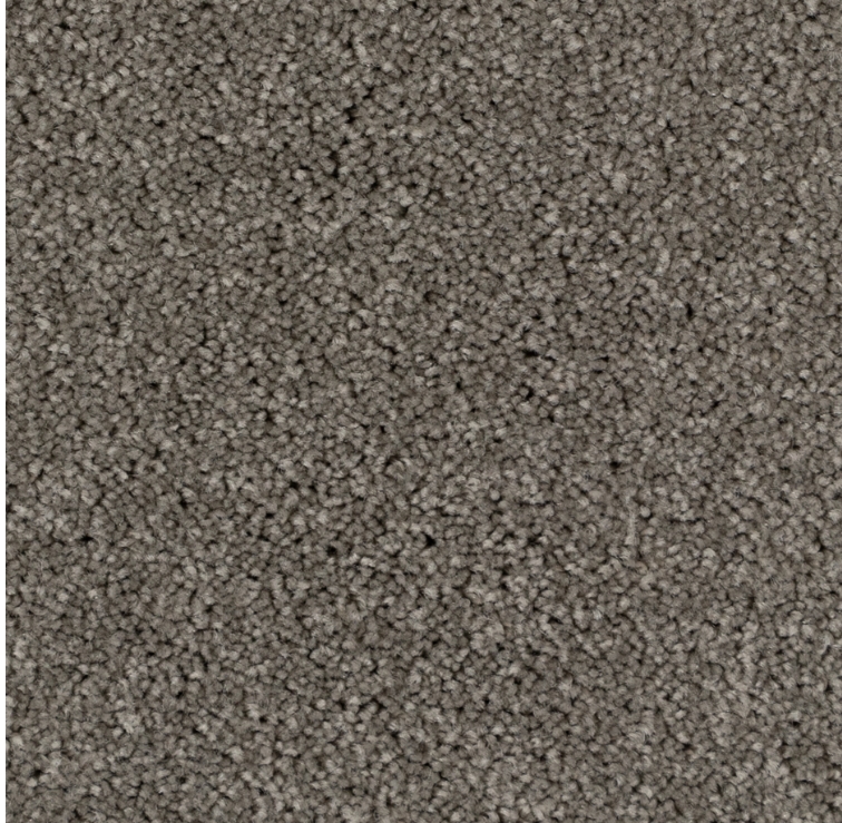 Carpet Beaulieu Morning Light