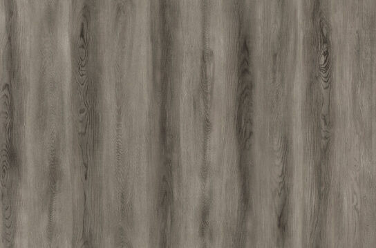 TORLYS Rochefort Oak 8mm