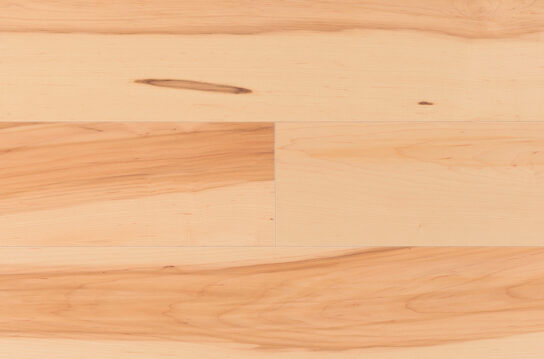 TORLYS Maple Natural 12mm