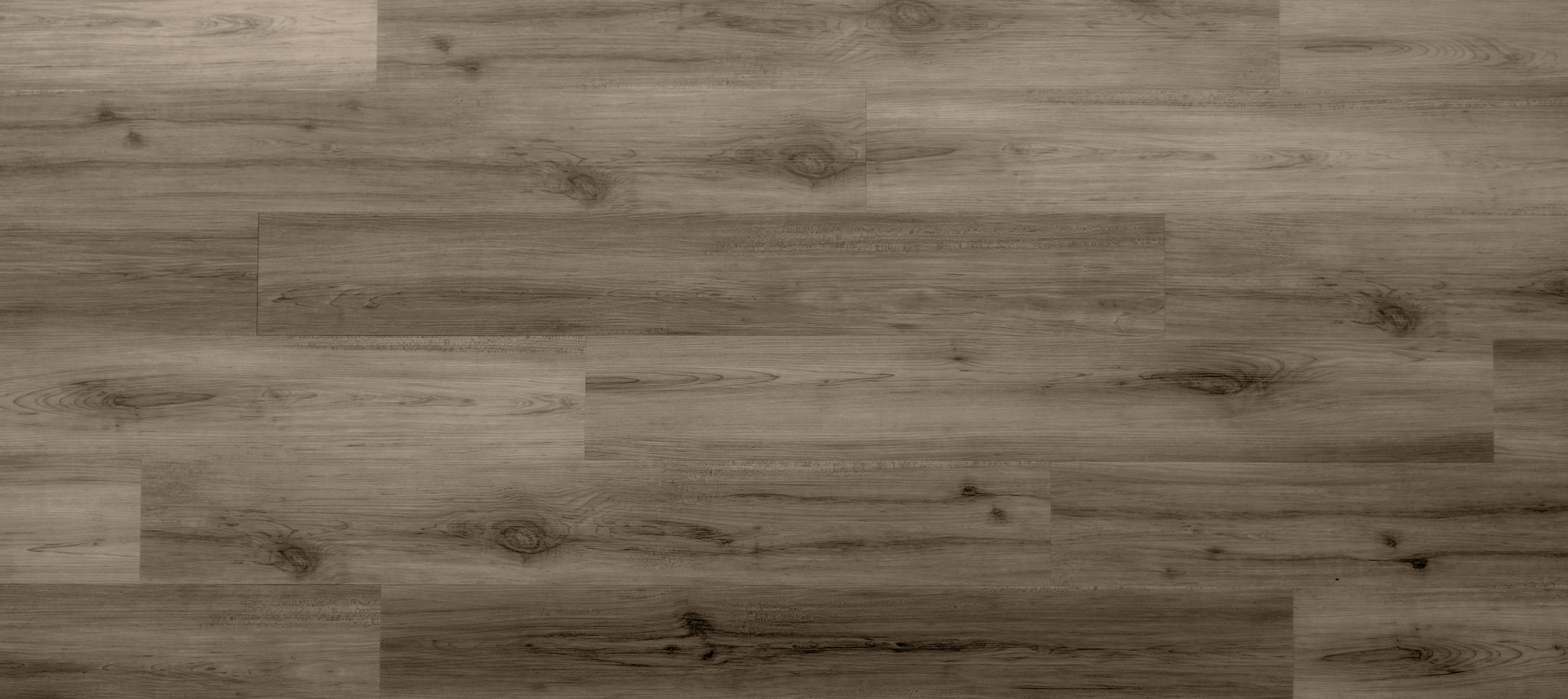 Twelve Oaks LVP Lost Canyon 2.5MM